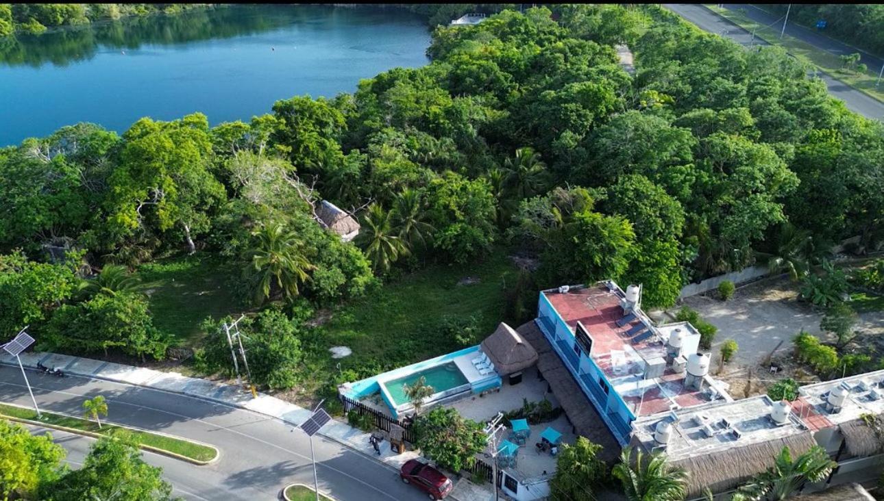 Naturaleza * Bacalar